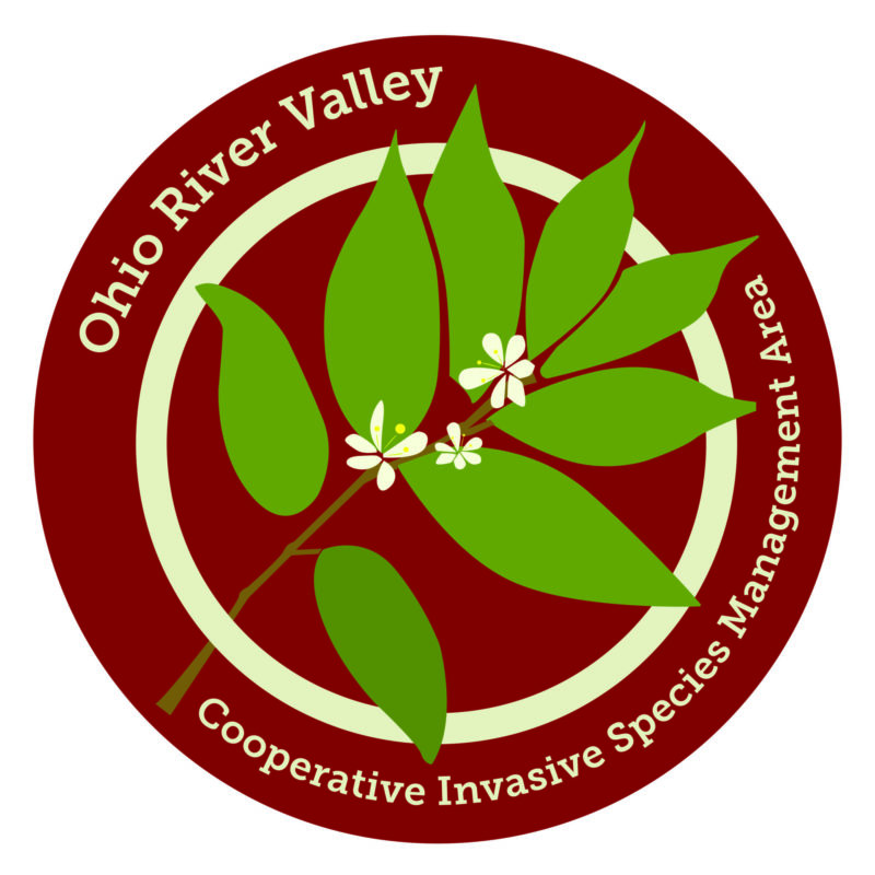 Ohio River Valley Cooperative Invasive Species Management Area launches website