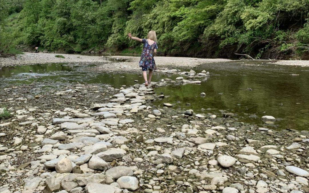 Gone Creeking: How to Let Kids Explore Local Waterways