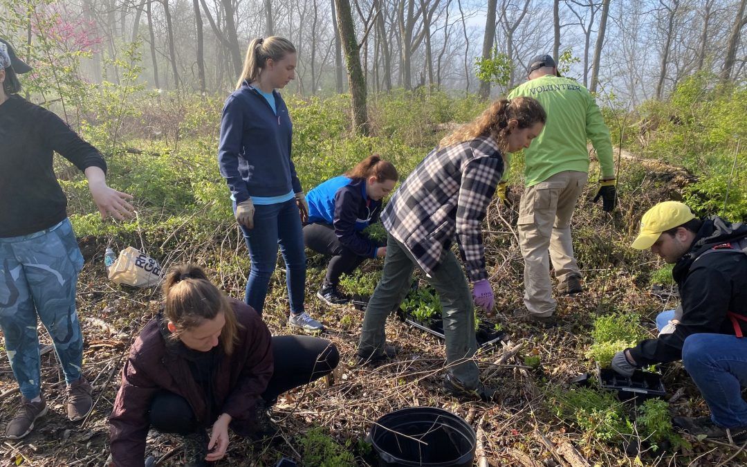 Get Involved: Volunteer with Ohio River Foundation