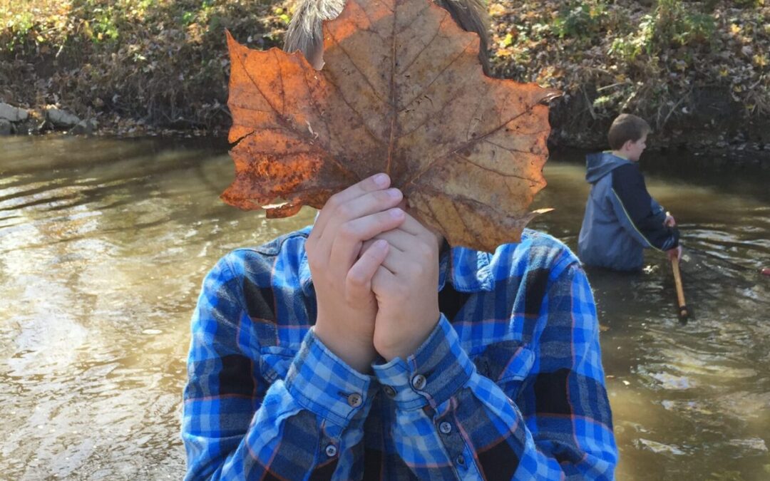 How to Prepare Your Yard for Fall and Benefit the Ohio River and its Watershed!