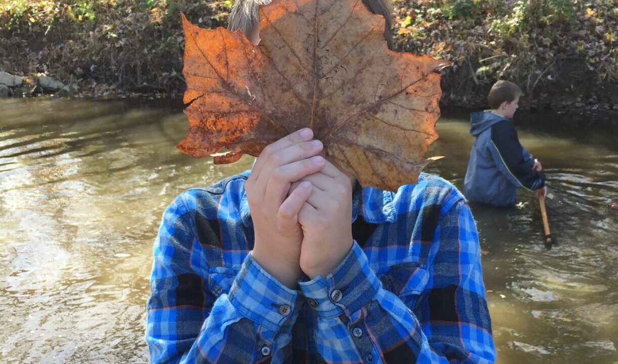 How to Prepare Your Yard for Fall and Benefit the Ohio River and its Watershed!
