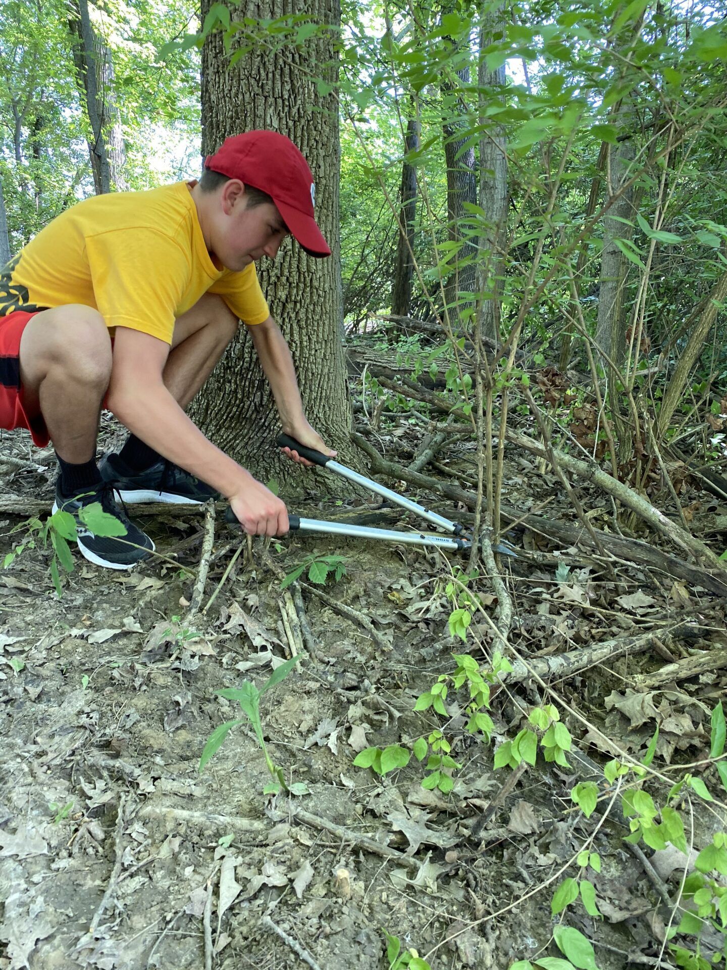 Ohio River Foundation Receives $25K Grant for Region-wide Invasive Species Removal