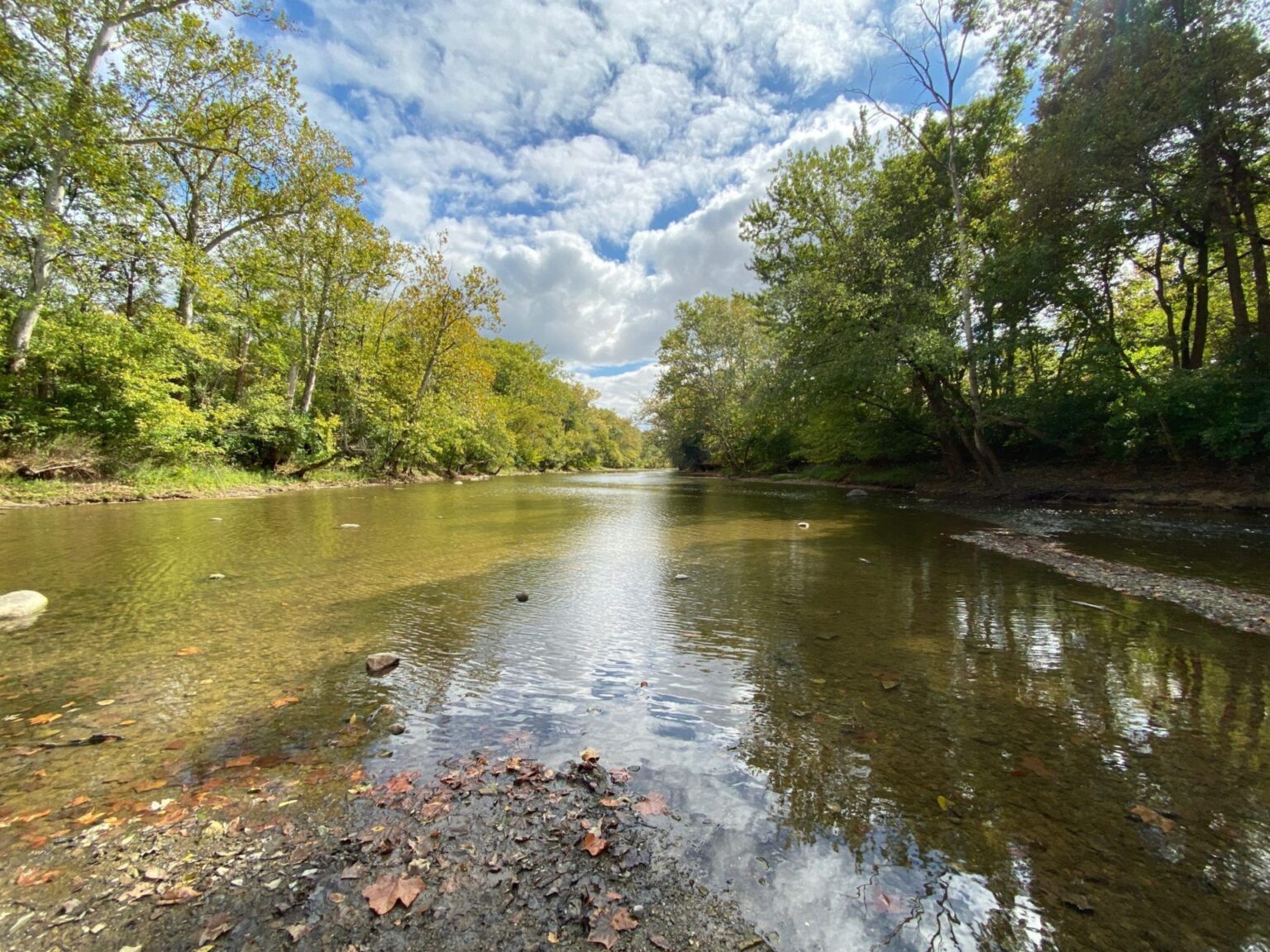 Ohio River Foundation | Restores and Protects the Ohio River watershed