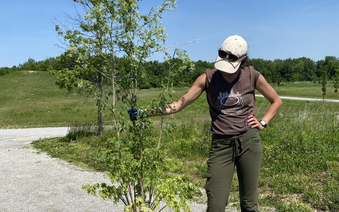 Tri-state Invasive Species Management Group Receives Additional Funding to Expand Work