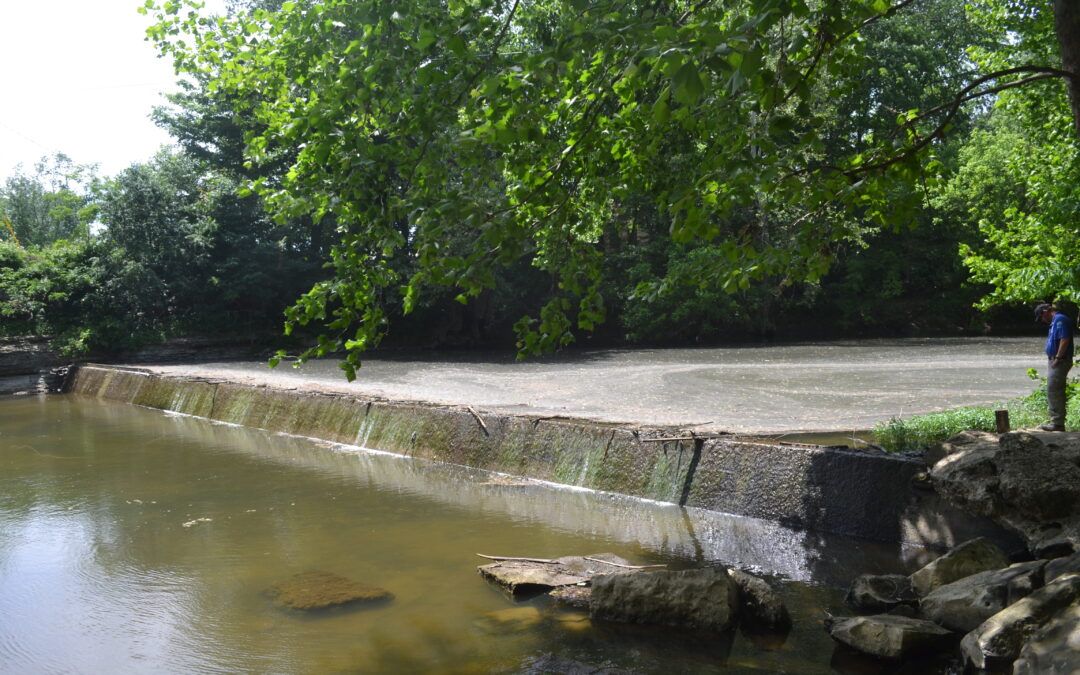 Owingsville Slate Creek Dam Removal