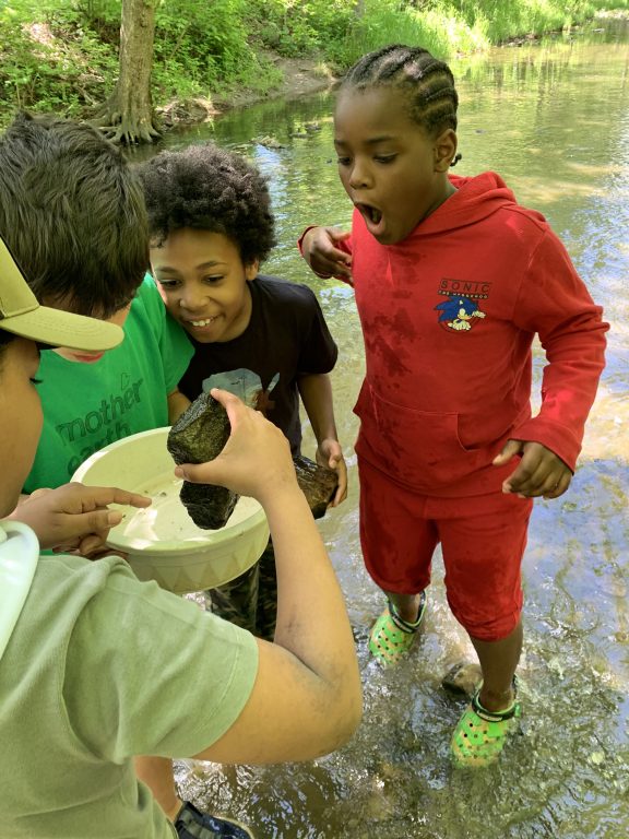 Coming Soon to a Classroom Near You: River Restoration, Captivating ...