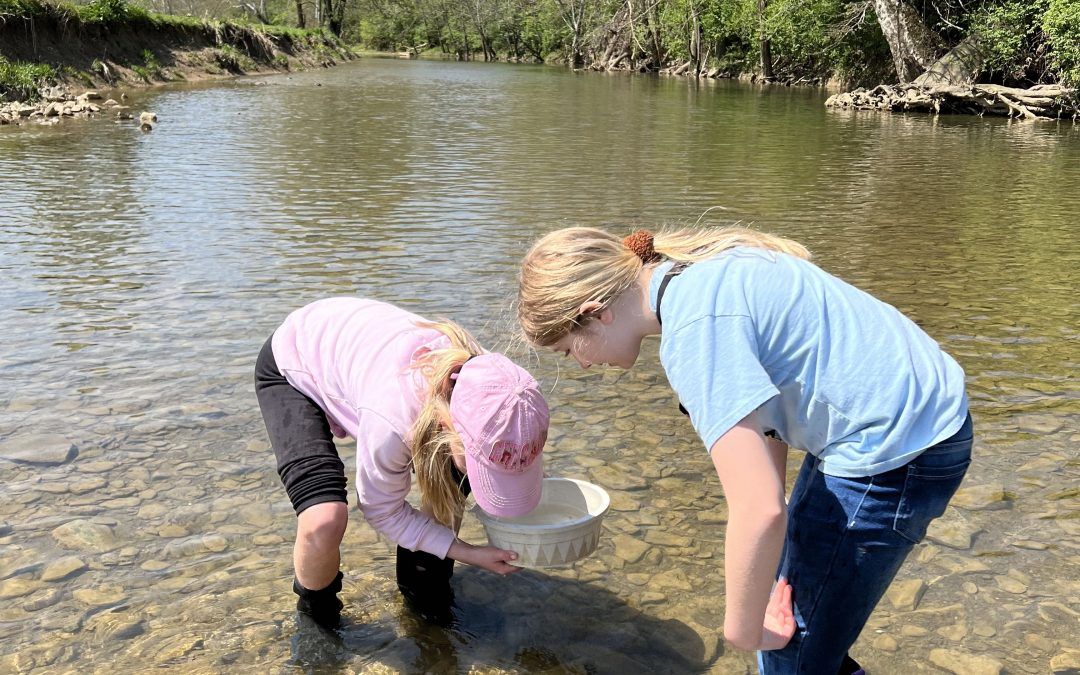 Coming Soon to a Classroom Near You: River Restoration, Captivating Creek Adventures, and Miraculous Mollusks