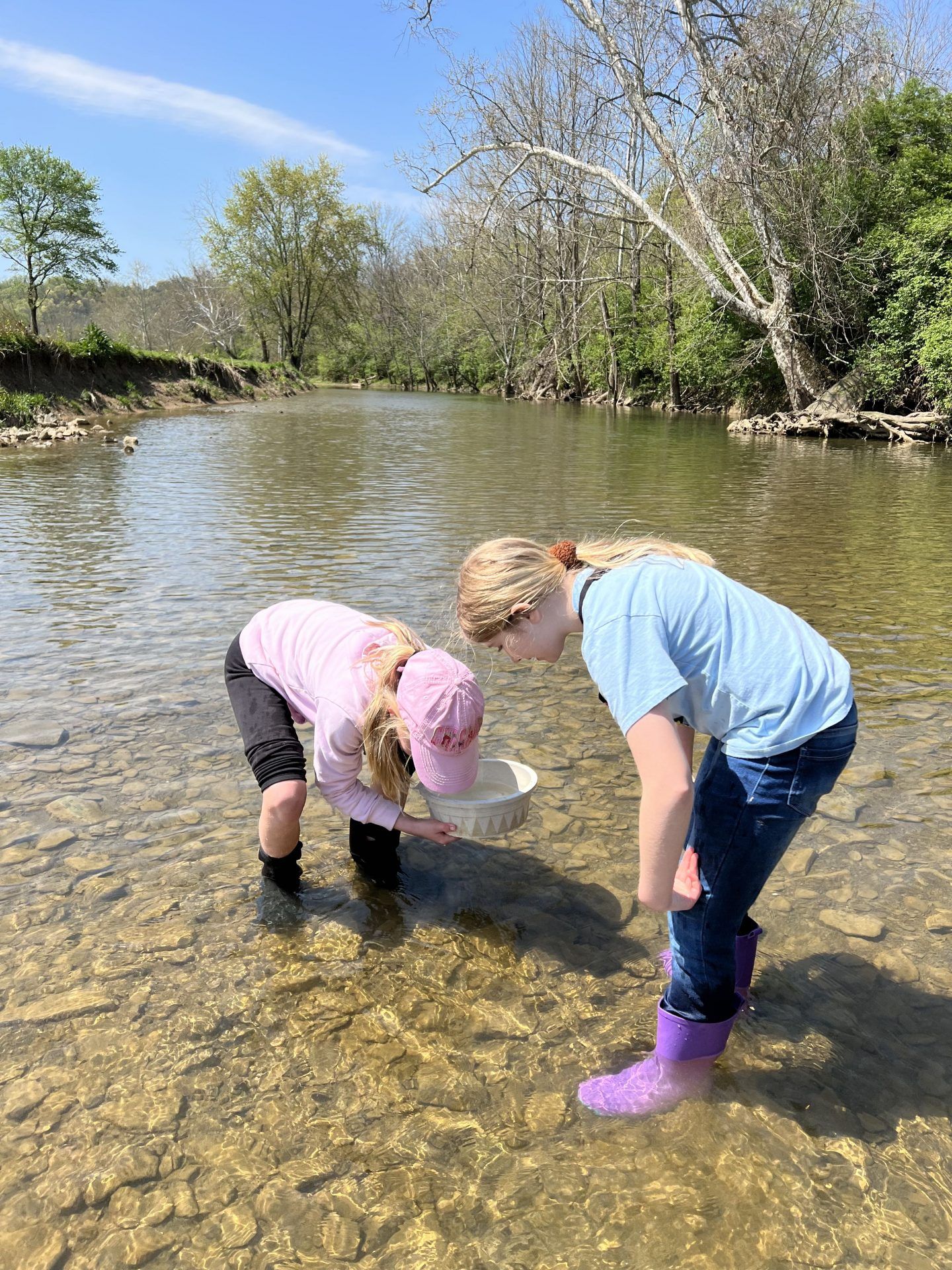Coming Soon to a Classroom Near You: River Restoration, Captivating Creek Adventures, and Miraculous Mollusks