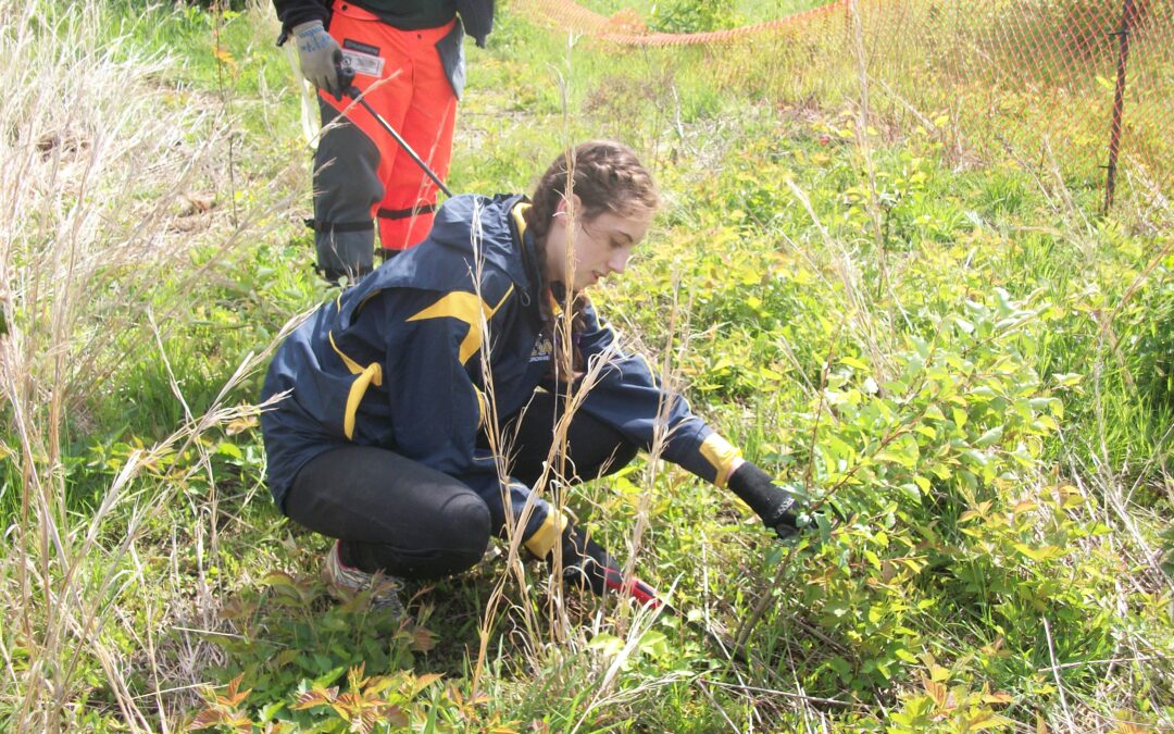 Tri-state Invasive Species Management Group Calls on Citizens to Help Remove One Million Invasive Plants this Year
