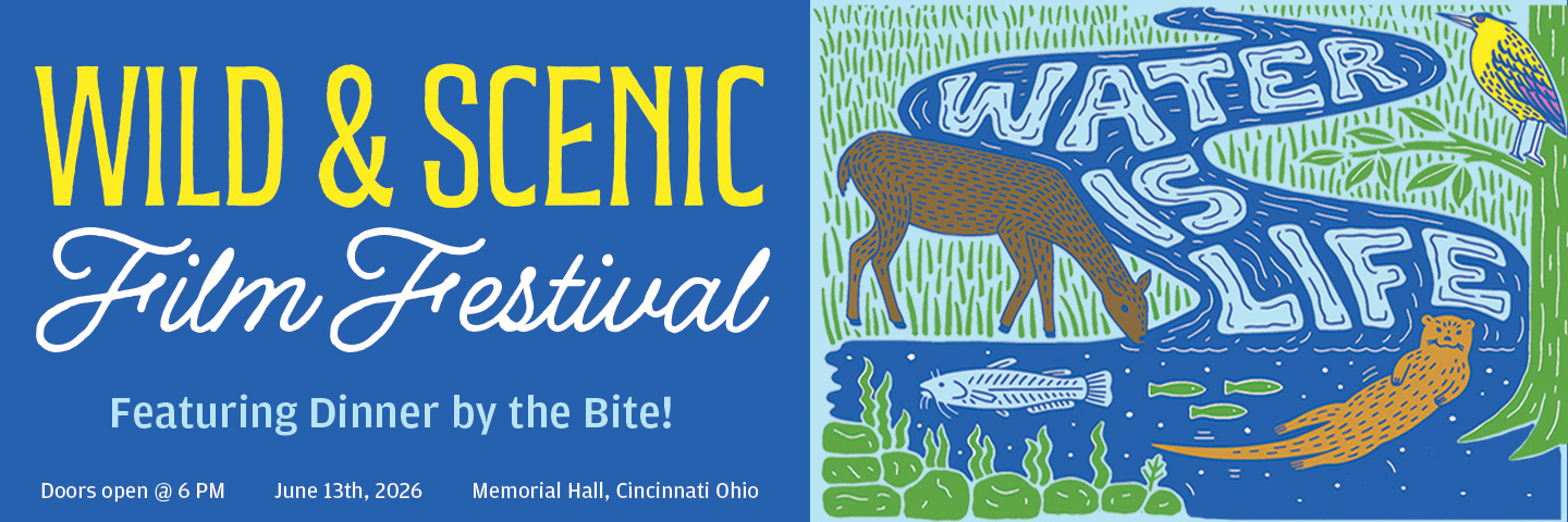 WSFF Web Banner