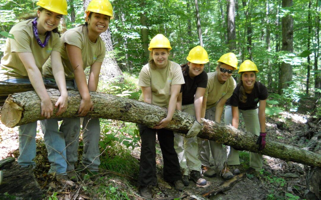 Youth Conservation Teams (YCT)